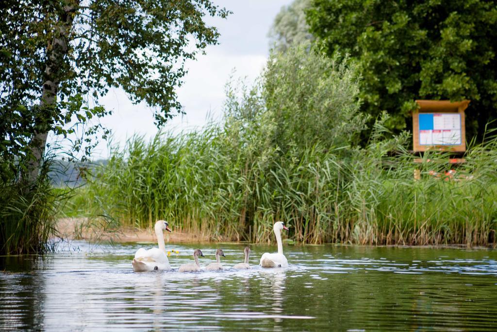 Ermistu Puhkekuela Hotell Exteriör bild