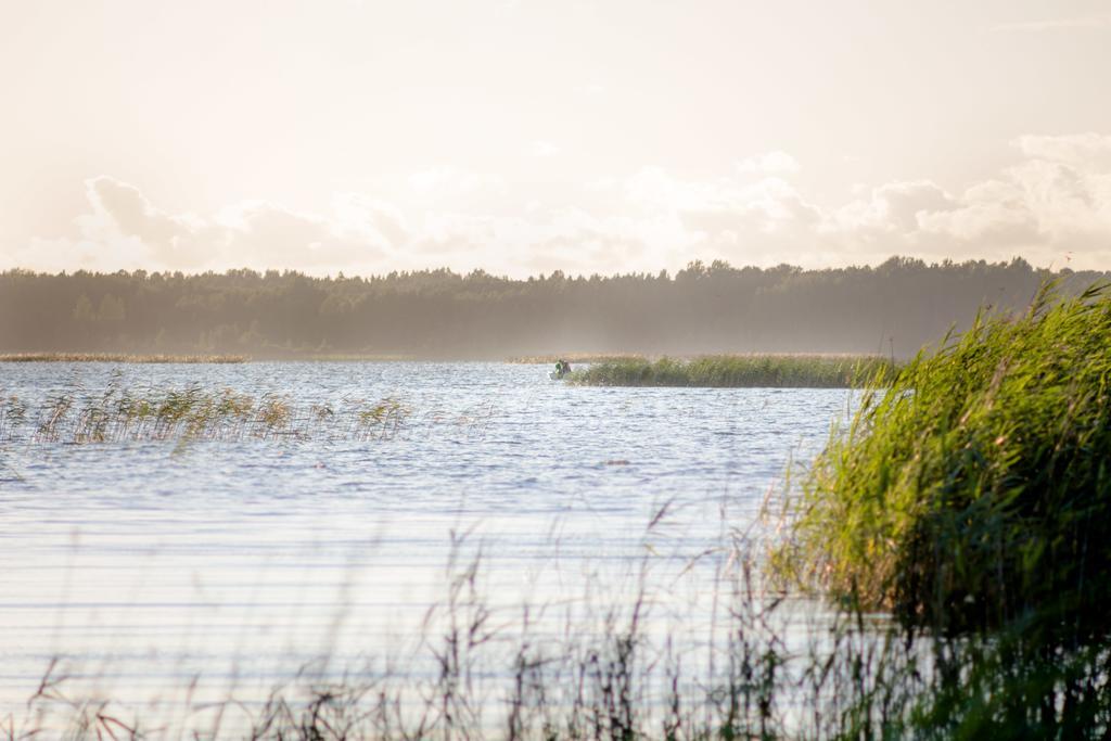 Ermistu Puhkekuela Hotell Exteriör bild